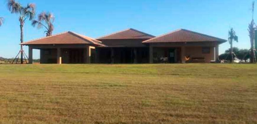 Fazenda Dupla Aptidão Lavoura Soja e Pecuária 12 mil hectares com pista de pouso | Comodoro/ MT