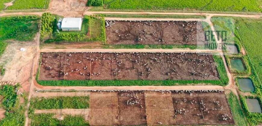 Fazenda Dupla Aptidão Lavoura Soja e Pecuária 12 mil hectares com pista de pouso | Comodoro/ MT