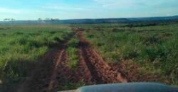 Fazenda Dupla Aptidão Lavoura Soja e Pecuária 12 mil hectares com pista de pouso | Comodoro/ MT