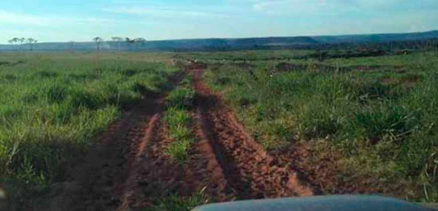 Fazenda Dupla Aptidão Lavoura Soja e Pecuária 12 mil hectares com pista de pouso | Comodoro/ MT