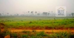 Fazenda Dupla Aptidão Lavoura Soja e Pecuária 12 mil hectares com pista de pouso | Comodoro/ MT