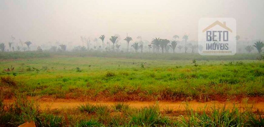 Fazenda Dupla Aptidão Lavoura Soja e Pecuária 12 mil hectares com pista de pouso | Comodoro/ MT