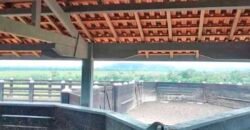 Fazenda Dupla Aptidão Lavoura Soja e Pecuária 12 mil hectares com pista de pouso | Comodoro/ MT