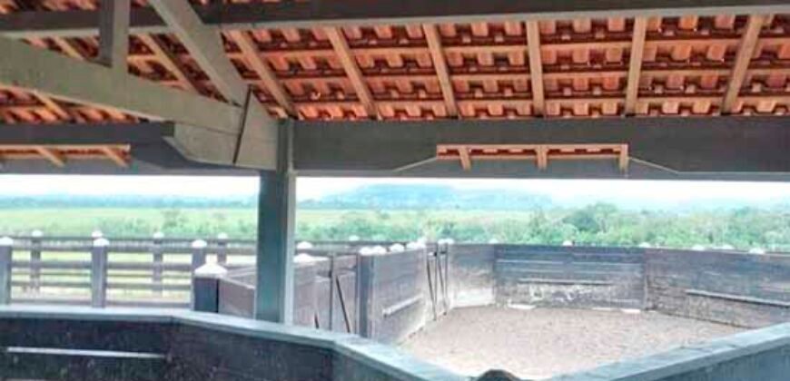 Fazenda Dupla Aptidão Lavoura Soja e Pecuária 12 mil hectares com pista de pouso | Comodoro/ MT