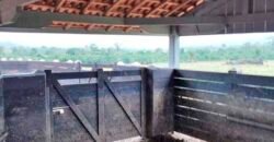 Fazenda Dupla Aptidão Lavoura Soja e Pecuária 12 mil hectares com pista de pouso | Comodoro/ MT