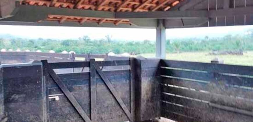 Fazenda Dupla Aptidão Lavoura Soja e Pecuária 12 mil hectares com pista de pouso | Comodoro/ MT