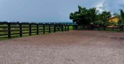 Fazenda Dupla Aptidão Lavoura Soja e Pecuária 12 mil hectares com pista de pouso | Comodoro/ MT