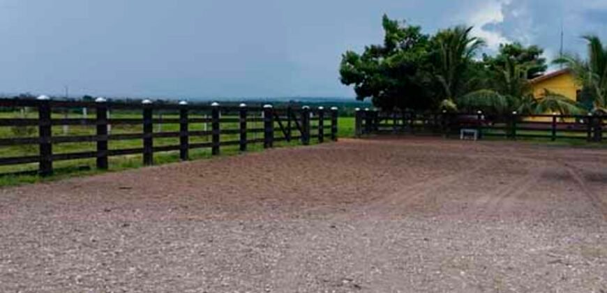 Fazenda Dupla Aptidão Lavoura Soja e Pecuária 12 mil hectares com pista de pouso | Comodoro/ MT
