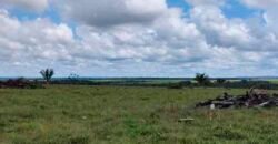 Fazenda Dupla Aptidão Lavoura Soja e Pecuária 12 mil hectares com pista de pouso | Comodoro/ MT