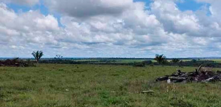 Fazenda Dupla Aptidão Lavoura Soja e Pecuária 12 mil hectares com pista de pouso | Comodoro/ MT