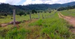 Fazenda Dupla Aptidão Lavoura Soja e Pecuária 12 mil hectares com pista de pouso | Comodoro/ MT
