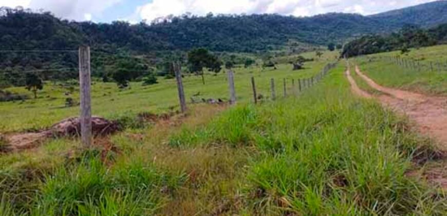 Fazenda Dupla Aptidão Lavoura Soja e Pecuária 12 mil hectares com pista de pouso | Comodoro/ MT