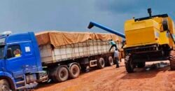 Fazenda Dupla Aptidão Lavoura Soja e Pecuária 12 mil hectares com pista de pouso | Comodoro/ MT