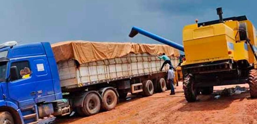 Fazenda Dupla Aptidão Lavoura Soja e Pecuária 12 mil hectares com pista de pouso | Comodoro/ MT