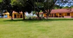 Fazenda Dupla Aptidão Lavoura Soja e Pecuária 12 mil hectares com pista de pouso | Comodoro/ MT