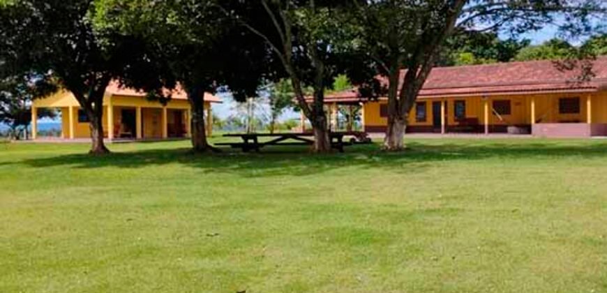 Fazenda Dupla Aptidão Lavoura Soja e Pecuária 12 mil hectares com pista de pouso | Comodoro/ MT