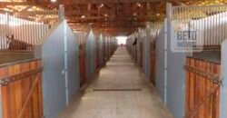 Oportunidade Única: Venda de Excelente Haras c/ Casa sede 4 suítes, piscina e prainha | Quadra/ SP Oportunidade Única: Venda de Excelente Haras c/ Casa sede 4 suítes, piscina e prainha | Quadra/ SP