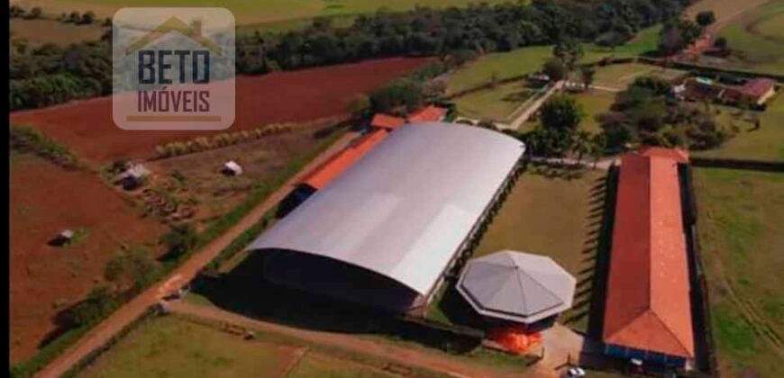 Oportunidade Única: Venda de Excelente Haras c/ Casa sede 4 suítes, piscina e prainha | Quadra/ SP Oportunidade Única: Venda de Excelente Haras c/ Casa sede 4 suítes, piscina e prainha | Quadra/ SP