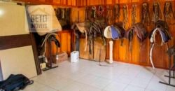 Oportunidade Única: Venda de Excelente Haras c/ Casa sede 4 suítes, piscina e prainha | Quadra/ SP Oportunidade Única: Venda de Excelente Haras c/ Casa sede 4 suítes, piscina e prainha | Quadra/ SP