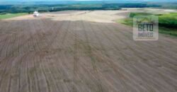 Oportunidade Única! Fazenda de 15 mil hectares em Pindorama do Tocantins/ TO Oportunidade Única! Fazenda de 15 mil hectares em Pindorama do Tocantins/ TO