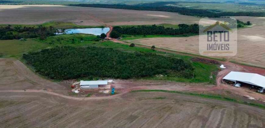 Oportunidade Única! Fazenda de 15 mil hectares em Pindorama do Tocantins/ TO Oportunidade Única! Fazenda de 15 mil hectares em Pindorama do Tocantins/ TO