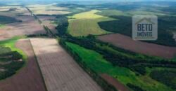 Oportunidade Única! Fazenda de 15 mil hectares em Pindorama do Tocantins/ TO Oportunidade Única! Fazenda de 15 mil hectares em Pindorama do Tocantins/ TO
