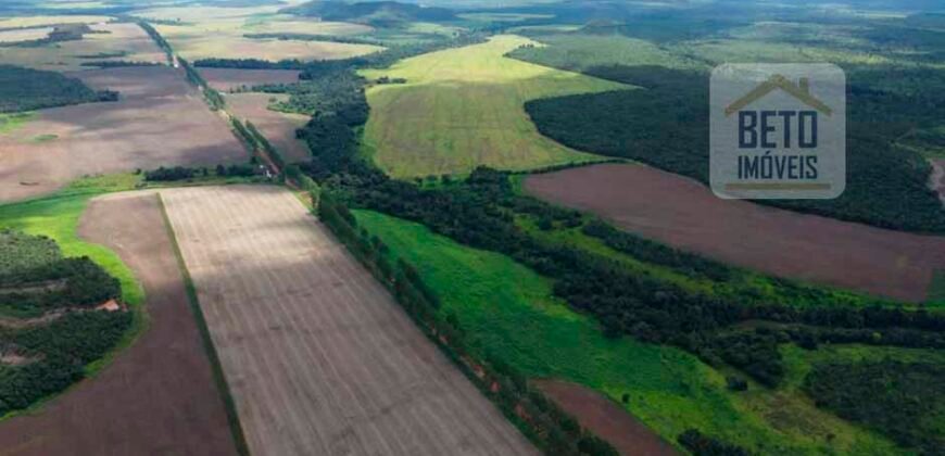 Oportunidade Única! Fazenda de 15 mil hectares em Pindorama do Tocantins/ TO Oportunidade Única! Fazenda de 15 mil hectares em Pindorama do Tocantins/ TO