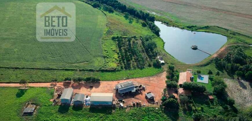 Oportunidade Única! Fazenda de 15 mil hectares em Pindorama do Tocantins/ TO Oportunidade Única! Fazenda de 15 mil hectares em Pindorama do Tocantins/ TO