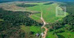 Oportunidade Única! Fazenda de 15 mil hectares em Pindorama do Tocantins/ TO Oportunidade Única! Fazenda de 15 mil hectares em Pindorama do Tocantins/ TO