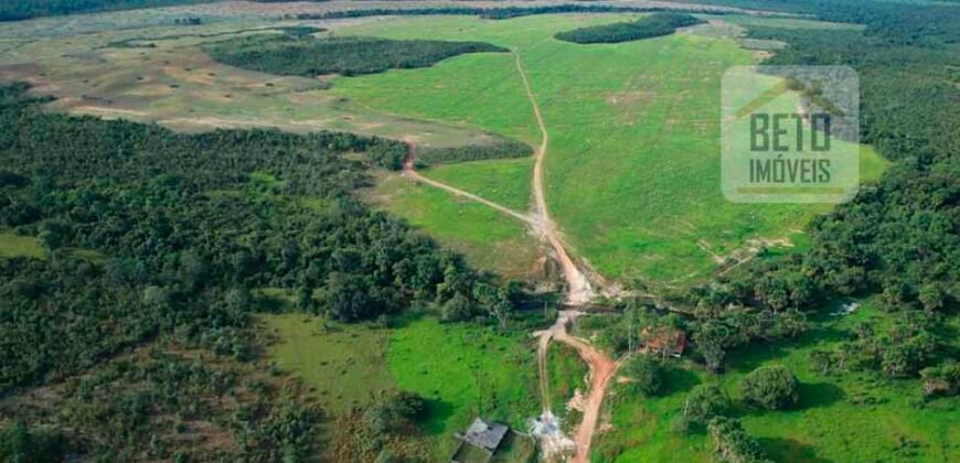Oportunidade Única! Fazenda de 15 mil hectares em Pindorama do Tocantins/ TO Oportunidade Única! Fazenda de 15 mil hectares em Pindorama do Tocantins/ TO