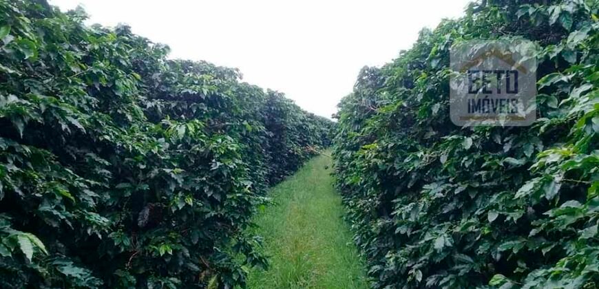 Excelente Fazenda Dupla Aptidão 5050 has Estrutura completa café e pecuária | Triangulo Mineiro/ MG