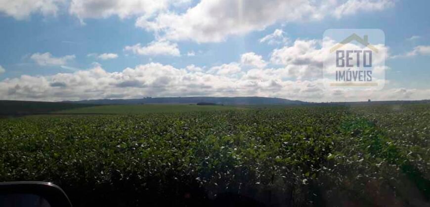 Excelente Fazenda Dupla Aptidão 5050 has Estrutura completa café e pecuária | Triangulo Mineiro/ MG