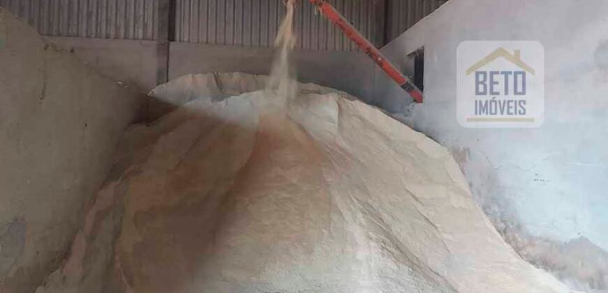 Excelente Fazenda Dupla Aptidão 5050 has Estrutura completa café e pecuária | Triangulo Mineiro/ MG