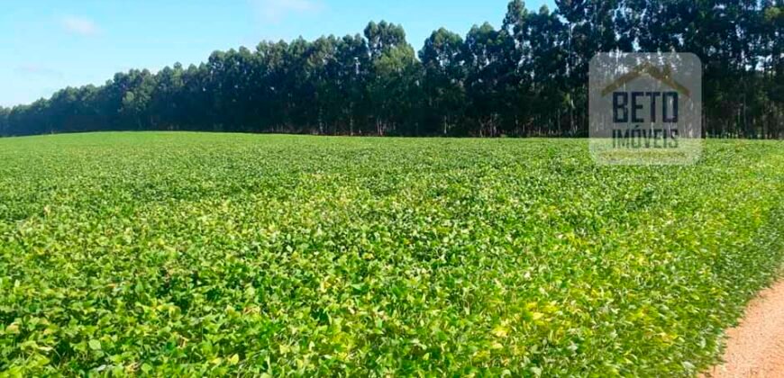 Excelente Fazenda Dupla Aptidão 5050 has Estrutura completa café e pecuária | Triangulo Mineiro/ MG