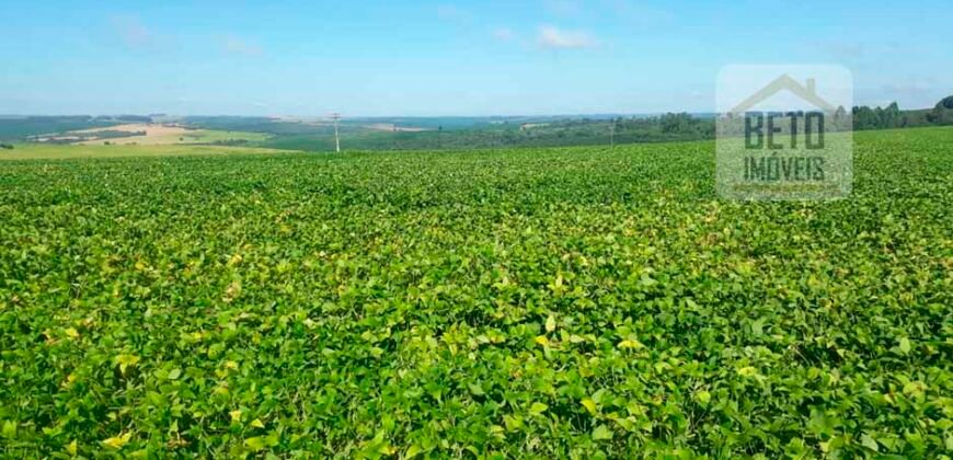 Excelente Fazenda Dupla Aptidão 5050 has Estrutura completa café e pecuária | Triangulo Mineiro/ MG