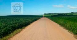 Excelente Fazenda Dupla Aptidão 5050 has Estrutura completa café e pecuária | Triangulo Mineiro/ MG