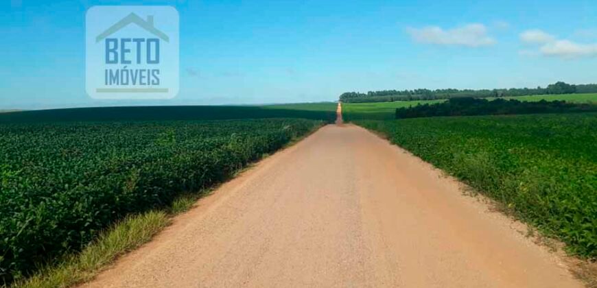 Excelente Fazenda Dupla Aptidão 5050 has Estrutura completa café e pecuária | Triangulo Mineiro/ MG