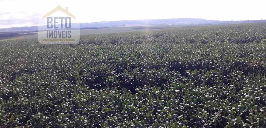 Excelente Fazenda Dupla Aptidão 5050 has Estrutura completa café e pecuária | Triangulo Mineiro/ MG