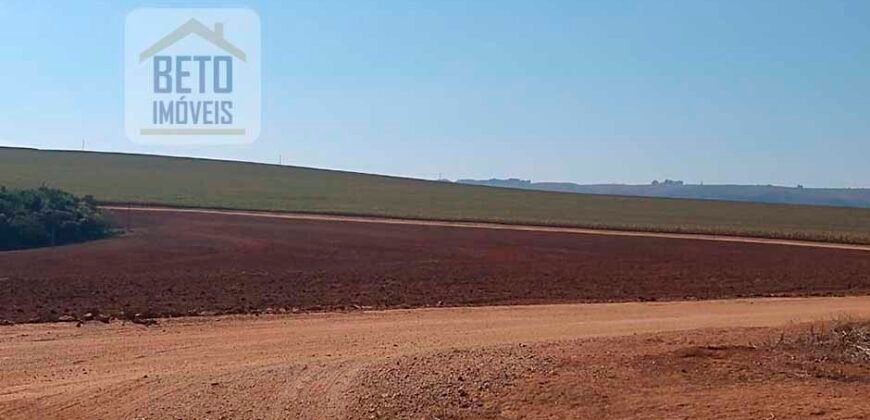 Excelente Fazenda Dupla Aptidão 5050 has Estrutura completa café e pecuária | Triangulo Mineiro/ MG