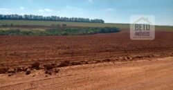 Excelente Fazenda Dupla Aptidão 5050 has Estrutura completa café e pecuária | Triangulo Mineiro/ MG