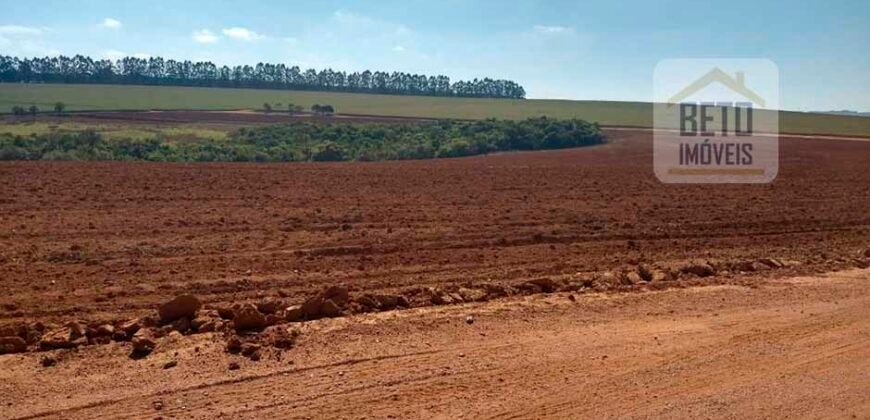 Excelente Fazenda Dupla Aptidão 5050 has Estrutura completa café e pecuária | Triangulo Mineiro/ MG