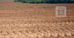 Excelente Fazenda Dupla Aptidão 5050 has Estrutura completa café e pecuária | Triangulo Mineiro/ MG