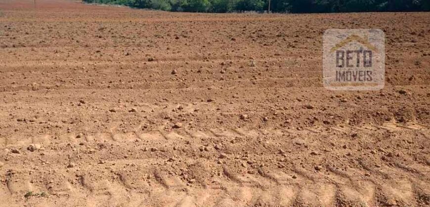 Excelente Fazenda Dupla Aptidão 5050 has Estrutura completa café e pecuária | Triangulo Mineiro/ MG