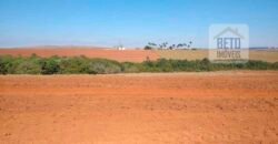 Excelente Fazenda Dupla Aptidão 5050 has Estrutura completa café e pecuária | Triangulo Mineiro/ MG