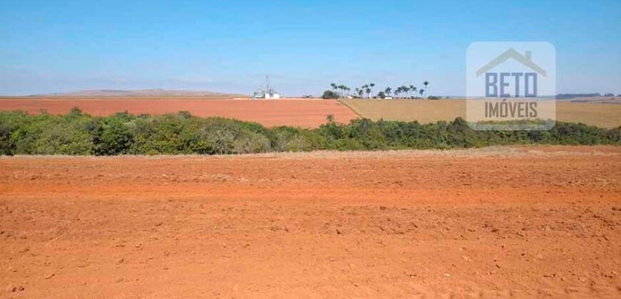 Excelente Fazenda Dupla Aptidão 5050 has Estrutura completa café e pecuária | Triangulo Mineiro/ MG