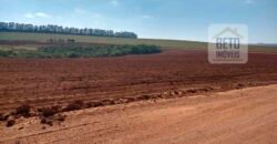 Excelente Fazenda Dupla Aptidão 5050 has Estrutura completa café e pecuária | Triangulo Mineiro/ MG