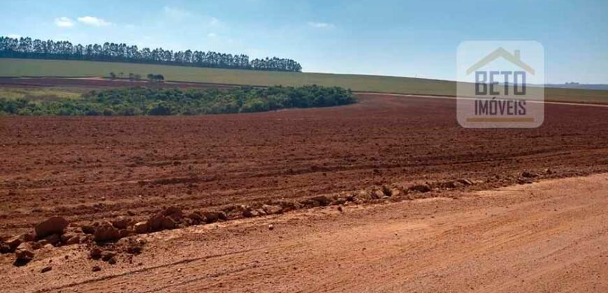 Excelente Fazenda Dupla Aptidão 5050 has Estrutura completa café e pecuária | Triangulo Mineiro/ MG