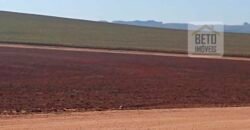 Excelente Fazenda Dupla Aptidão 5050 has Estrutura completa café e pecuária | Triangulo Mineiro/ MG