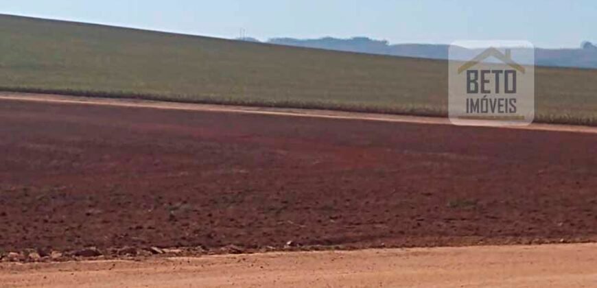 Excelente Fazenda Dupla Aptidão 5050 has Estrutura completa café e pecuária | Triangulo Mineiro/ MG