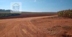 Excelente Fazenda Dupla Aptidão 5050 has Estrutura completa café e pecuária | Triangulo Mineiro/ MG